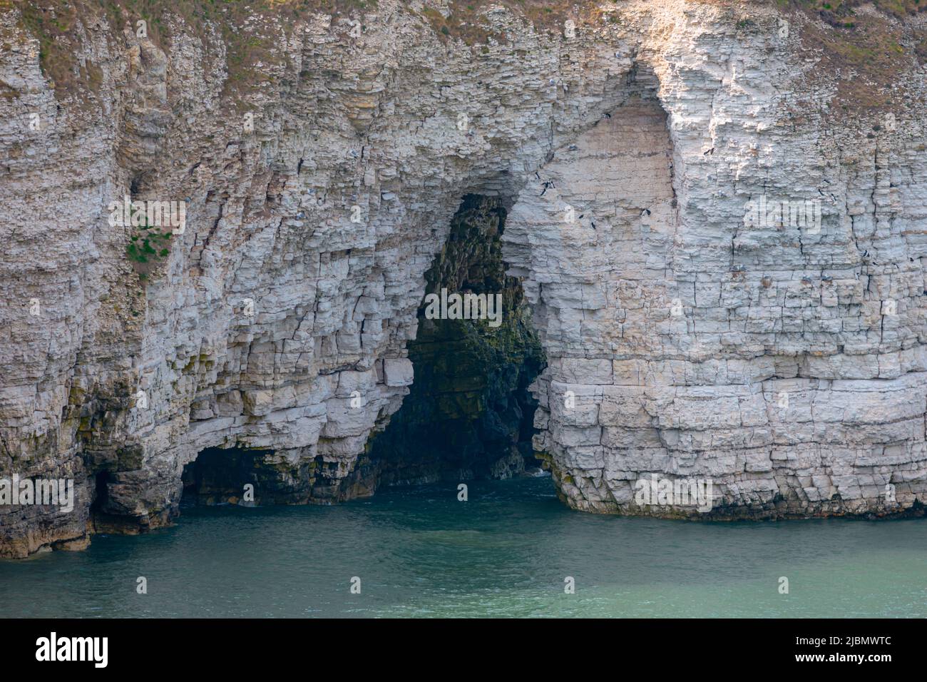 Nahaufnahme von geschichteten weißen Kreidefelsen, die Wellenerosion in Bögen und Höhlen über der Nordsee in Flamborough zeigen Stockfoto
