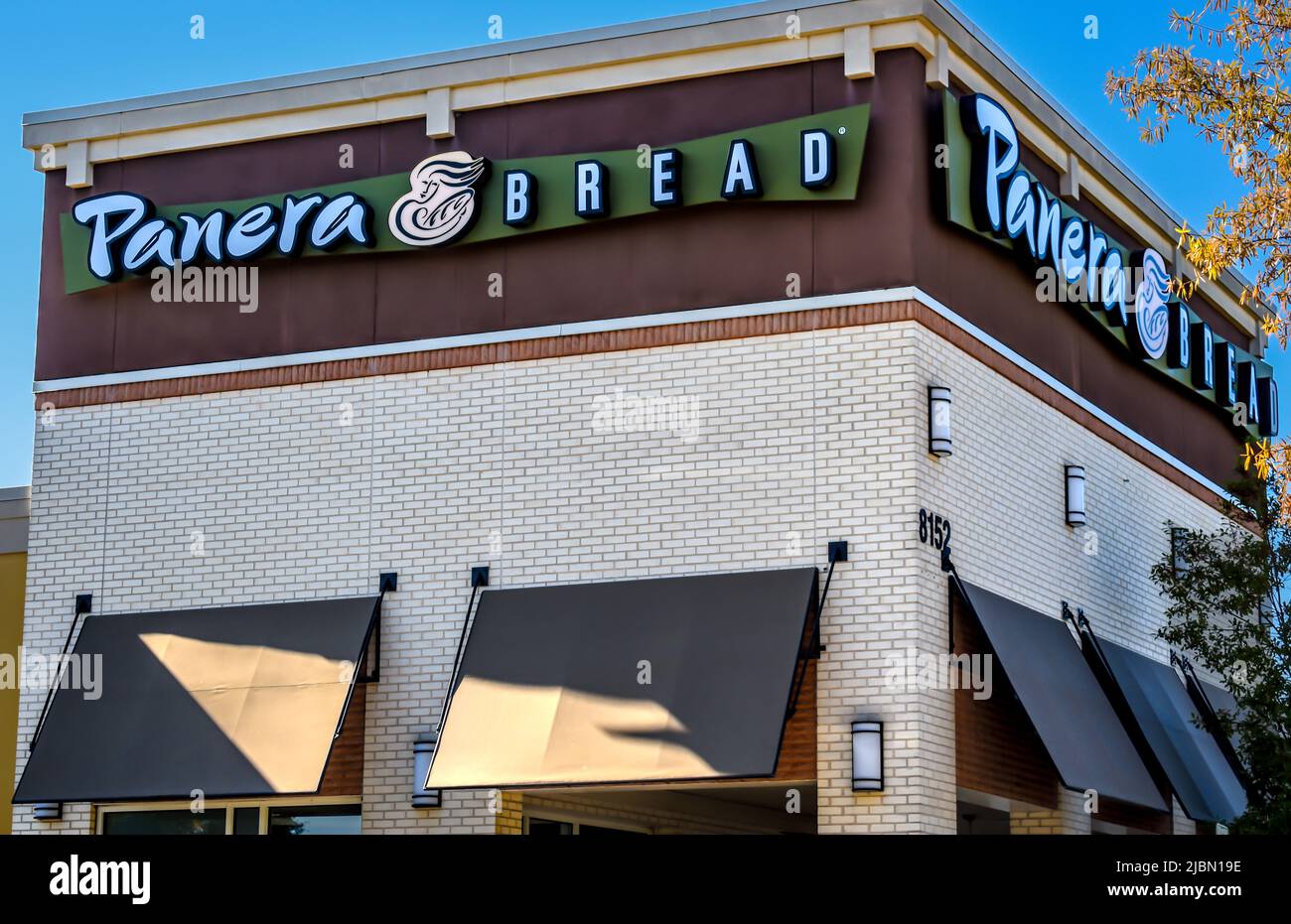 Panera Bread Restaurant und Cafe Außenfassade Marken- und Logo-Beschilderung in weißen Buchstaben auf grün und braun an einem sonnigen Tag mit blauem Himmel. Stockfoto