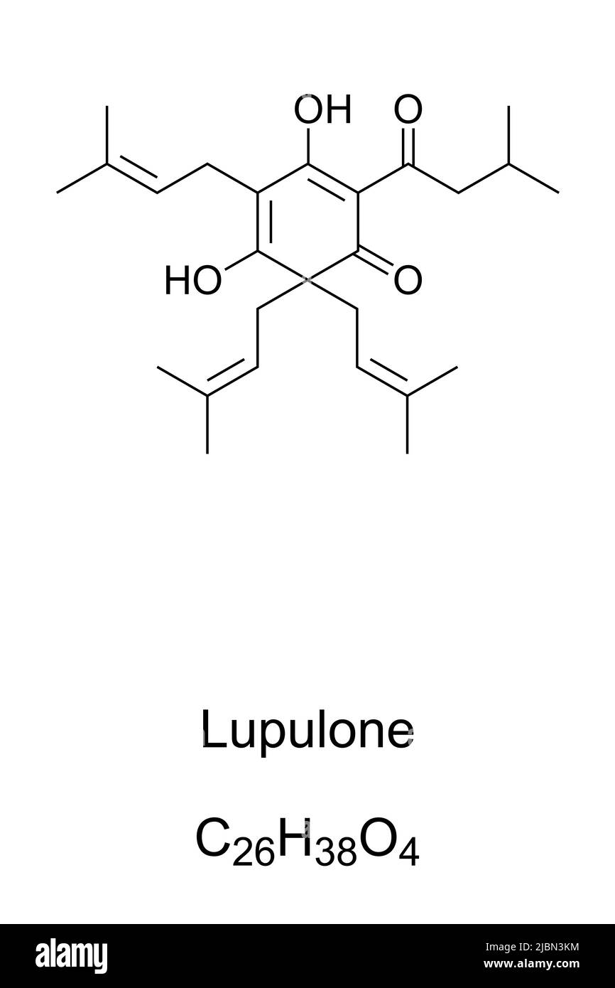 Lupulon, chemische Formel und Struktur. Organische Säure, die als Bestandteil von Hopfen gefunden wird. Wird beim Bierbrauen verwendet. Antibakteriell, mit bitterem Geschmack. Stockfoto