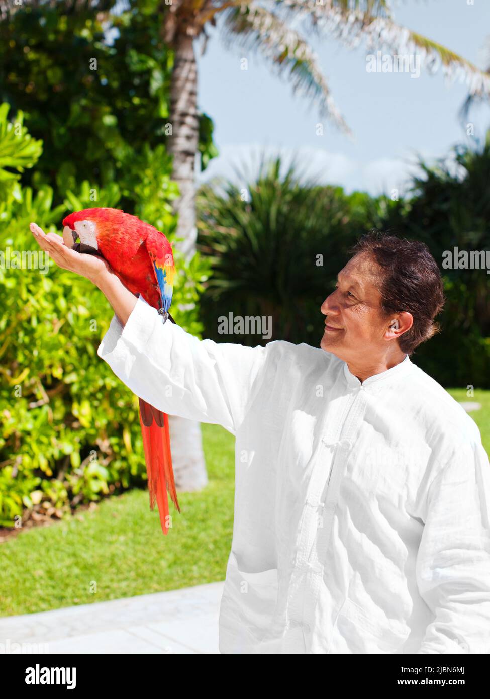 Victor, ein Tai-Chi-Lehrer, ruft im Rahmen des Ara-Rituals Billy, den Papagei, an – eines von mehreren täglichen Ritualen, die im Live Aqua Resort stattfinden Stockfoto