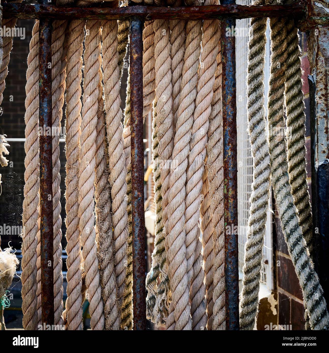 Seile hängen am rostigen Metallzaun im Fährhafen Stockfoto