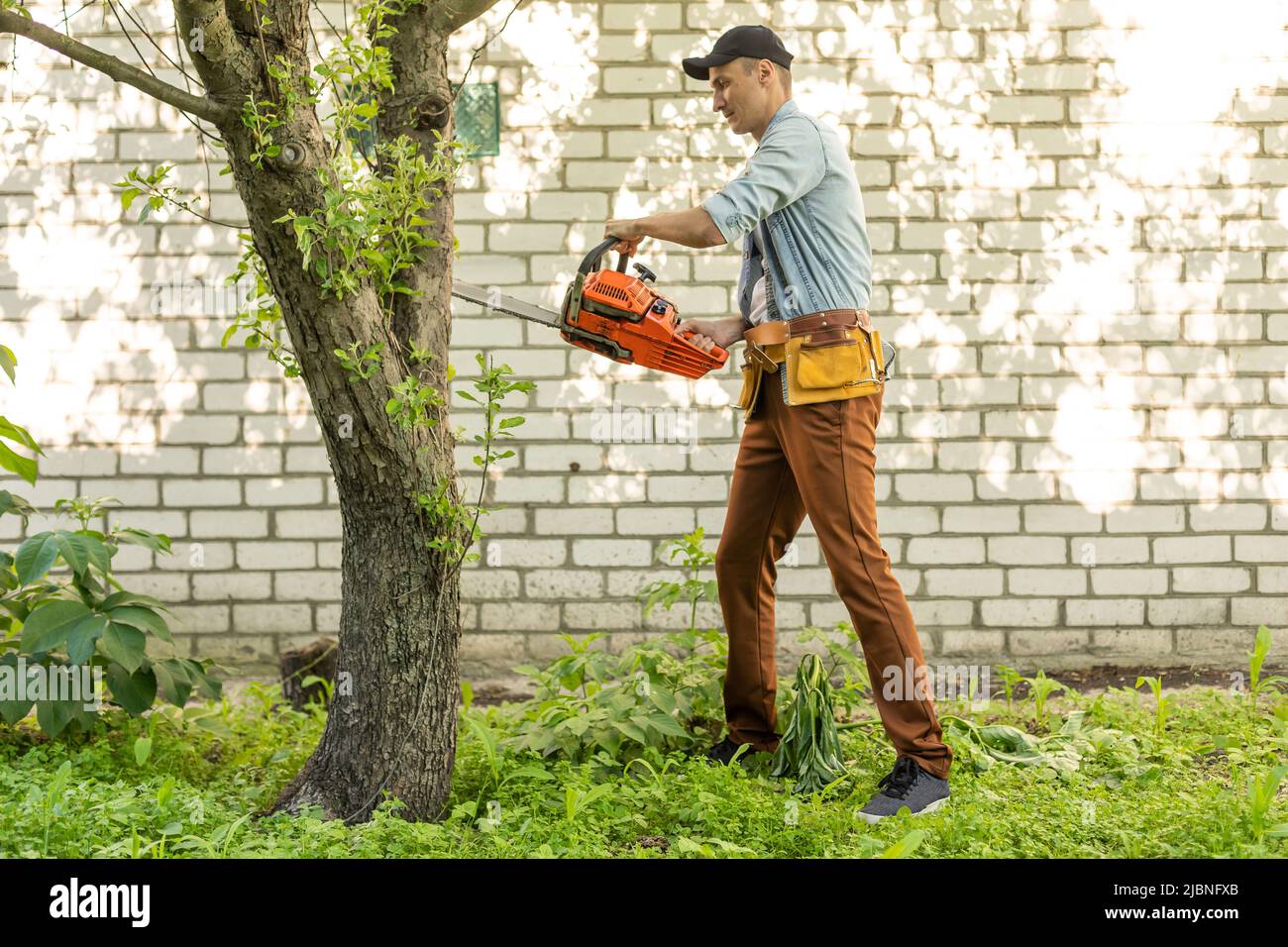 Ein Mann mit einer Kettensäge. Entfernt Pflanzungen im Garten von alten Bäumen, erntet Brennholz. Stockfoto
