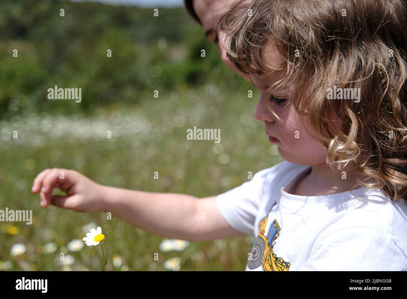 Das Kind pflückt Blütenblätter mit der Mutter auf der Wiese Stockfoto