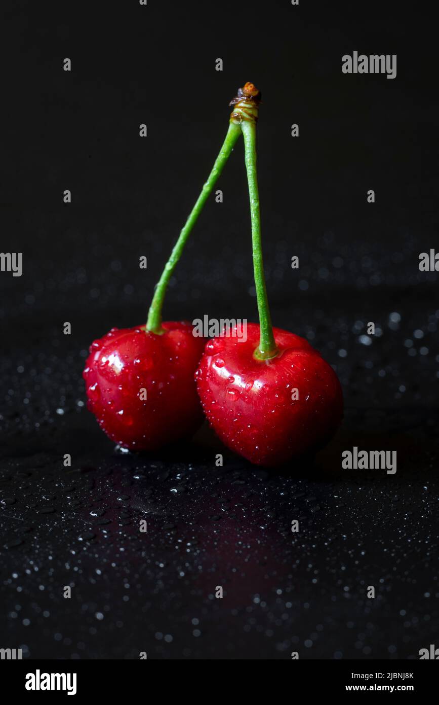 Nahaufnahme eines Paares frischer roter Kirschen mit Wassertropfen auf schwarzem Hintergrund. Stockfoto