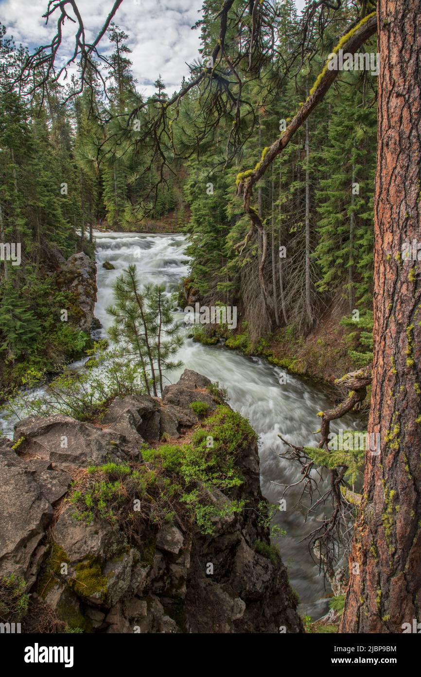 USA, Oregon,Central, Deschutes County, National Forest, Bend, Benham Falls Stockfoto
