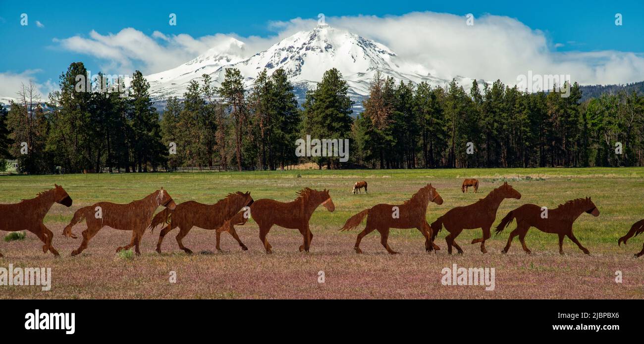 USA, Oregon, Deschutes National Forest, Three Sisters, Sisters, Pferdeskulptur Stockfoto