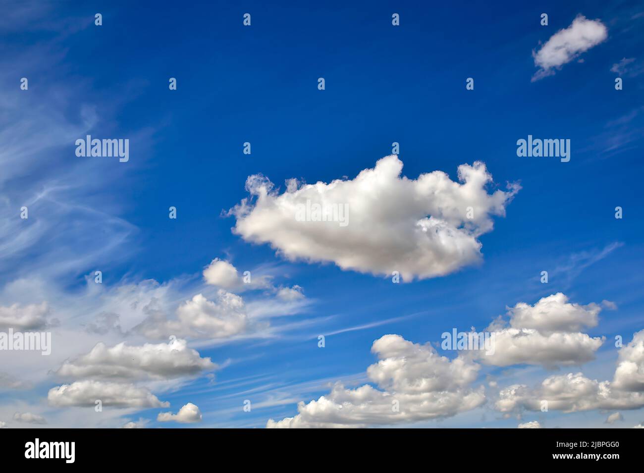 Weiße geschwollene Wolken schweben über einem blauen Himmel im ländlichen Alberta, Kanada Stockfoto