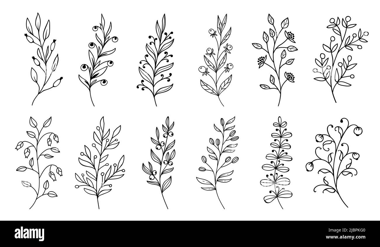 Skizzieren Sie Zweige und Zweige mit Beeren, Blattpflanzen und Blumen, Vektor-Doodle-Blätter. Zweig- oder Pflanzenzweige in Skizzenlinie, schwarz-weißes Blumen- und Waldbeermuster in Kontur Stock Vektor