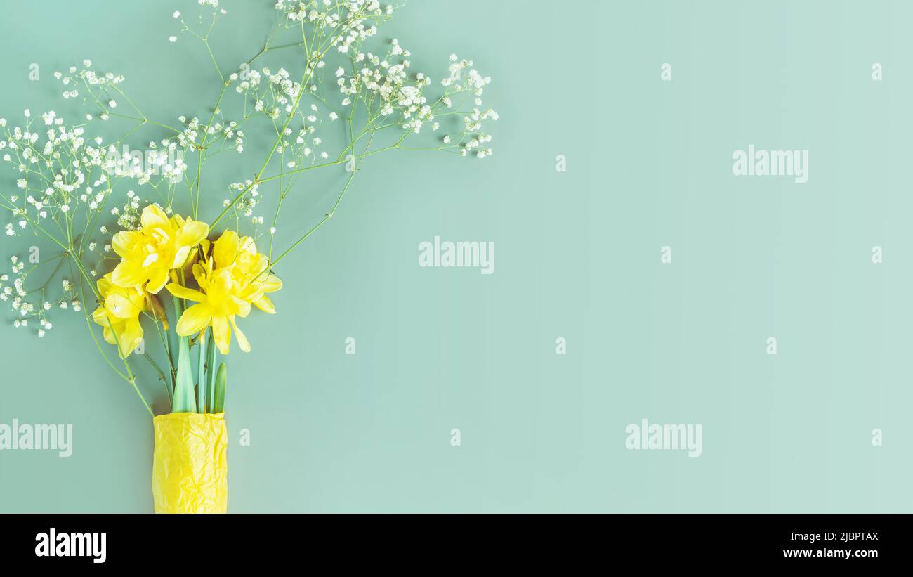 Urlaub, Blumenbanner mit gelben Narzissen und Gypsophila Stockfoto