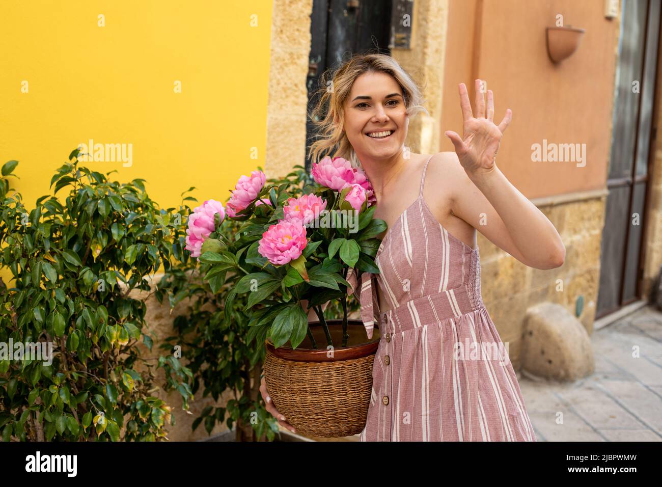 Junge lächelnde Frau im Sommer rosa gestreiften Kleid stehen neben Olivenbäumen, hält Topf mit rosa Pfingstrosen, begrüßen. Stockfoto
