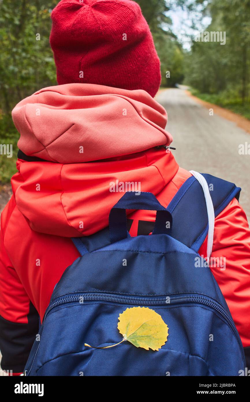 Ein gelbes Herbstblatt fiel auf den Rucksack eines Mädchens in einer roten Jacke, das entlang einer Waldstraße ging Stockfoto