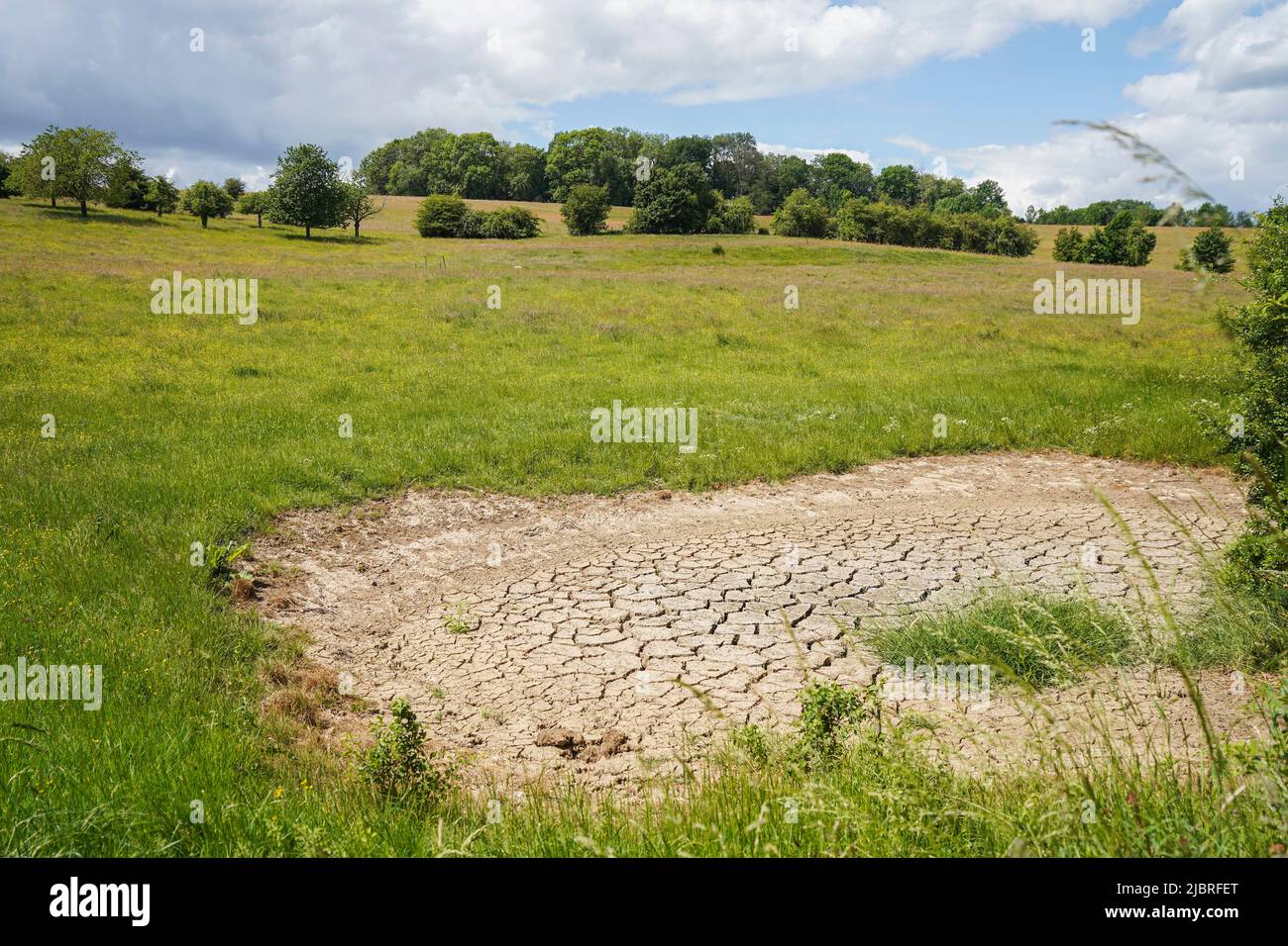 Naturschutzgebiet, und Wandergebiet, mit natürlichem Trockenbecken, Gerendal, Limburg, Südholland. Stockfoto