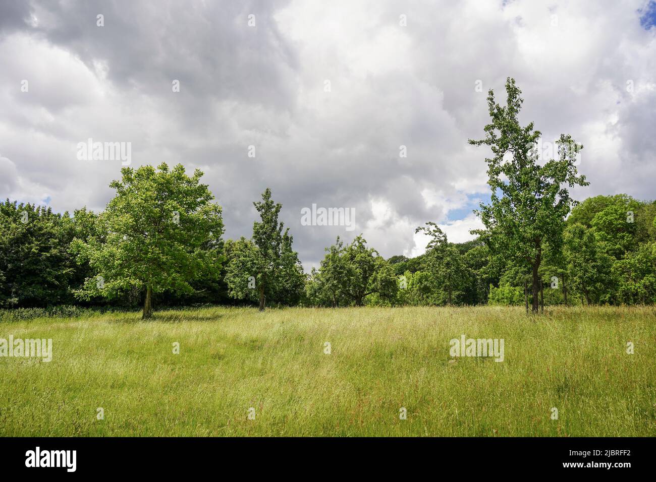 Naturschutzgebiet, und Wandergebiet, mit Kreide Grünland, Gerendal, Limburg, Südniederländisch. Stockfoto