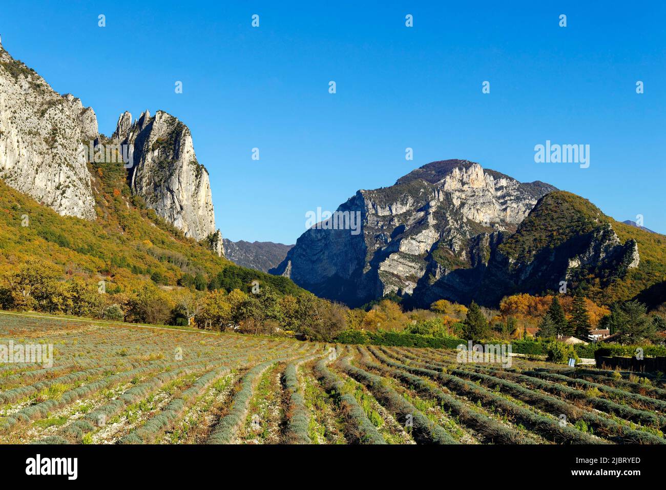 Frankreich, Drome, Saou Wald und Dorf Stockfoto