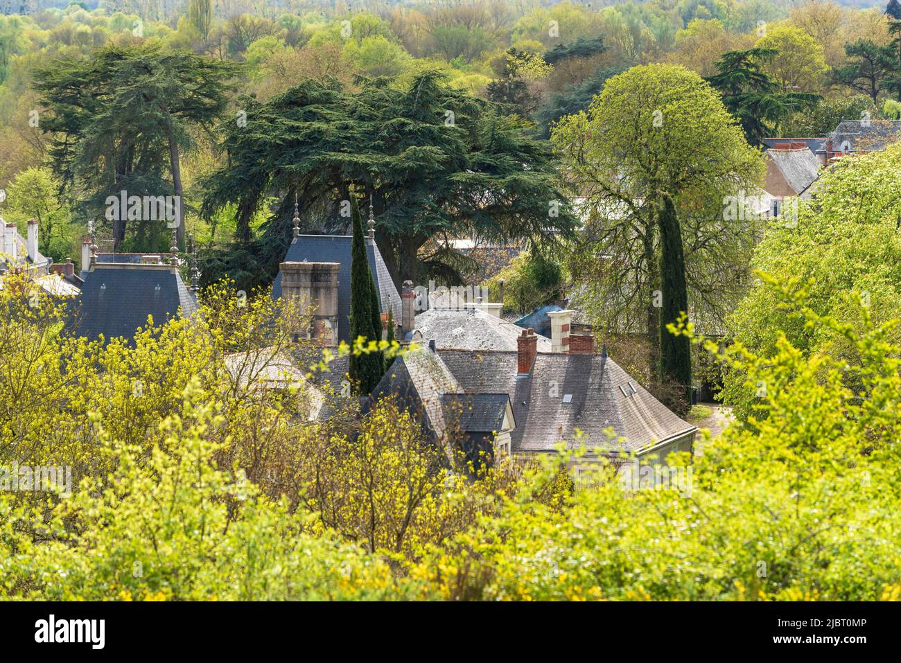Frankreich, Maine et Loire, Loire-Tal, das von der UNESCO zum Weltkulturerbe erklärt wurde, Domaine du Closel, die Dächer der Château des Vaults, Bio- und biodynamische Weinberge, LPO-Hütte Stockfoto