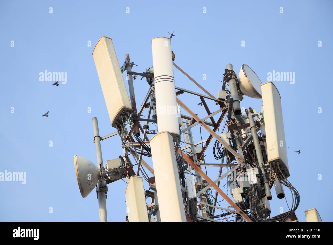 Mobiltelefon oder mobiler Turm mit blauem Himmel und Vögeln, die in der Nähe fliegen Stockfoto