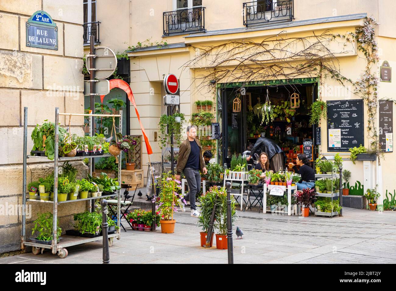 Frankreich, Paris, The Plant Bar Stockfoto
