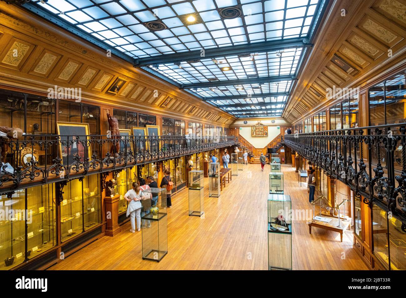 Frankreich, Paris, Museum der Medizinischen Fakultät Stockfoto