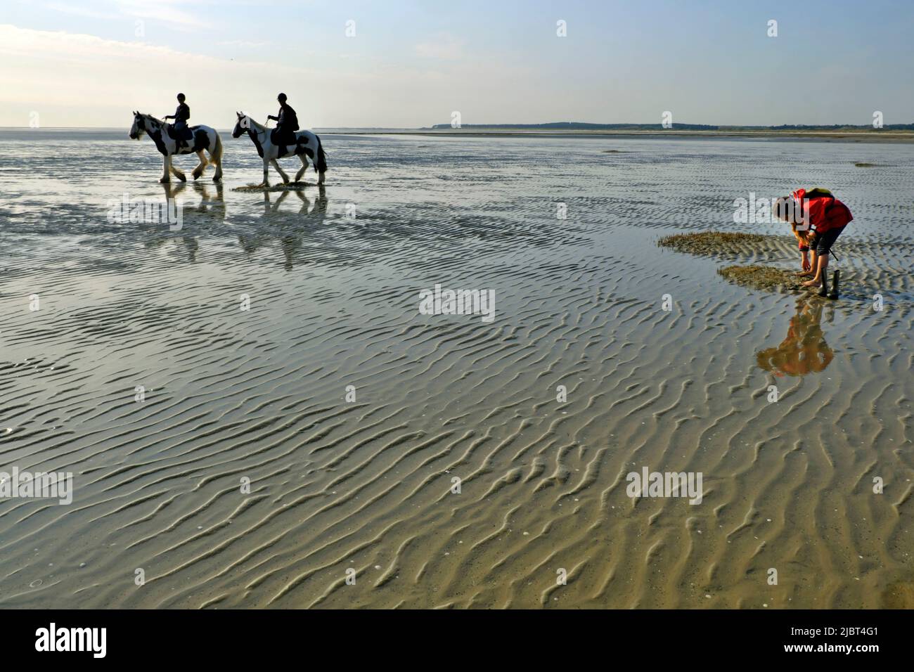 Frankreich, Somme, Le Crotoy, Somme Bay, Fahrt bei Ebbe, Fahrer, Kinder beobachten Muscheln Stockfoto