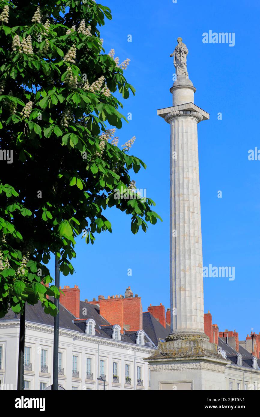 Frankreich, Loire Atlantique, Nantes, Place Marechal Foch, Platz im 18.. Jahrhundert mit der Louis XVI Säule in der Mitte entworfen Stockfoto