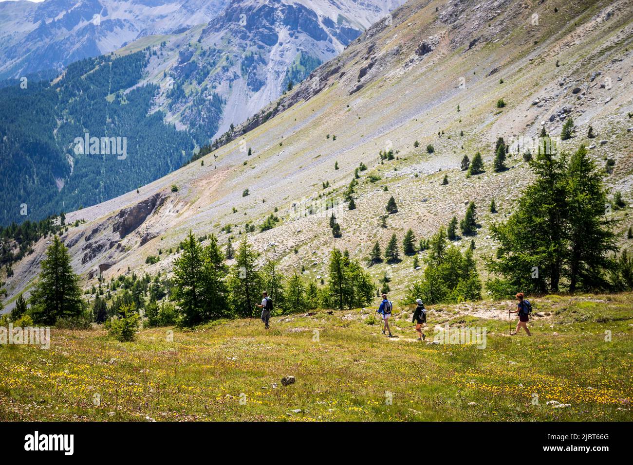 Frankreich, Hautes-Alpes, Cervieres, Wanderer am Col d'Izoard (2362 m) Stockfoto