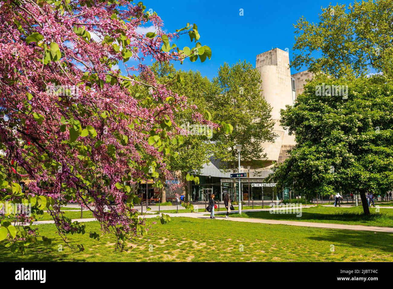 Frankreich, Paris, Bercy Park, die französische Kinemathek des Architekten Frank O. Gehry Stockfoto