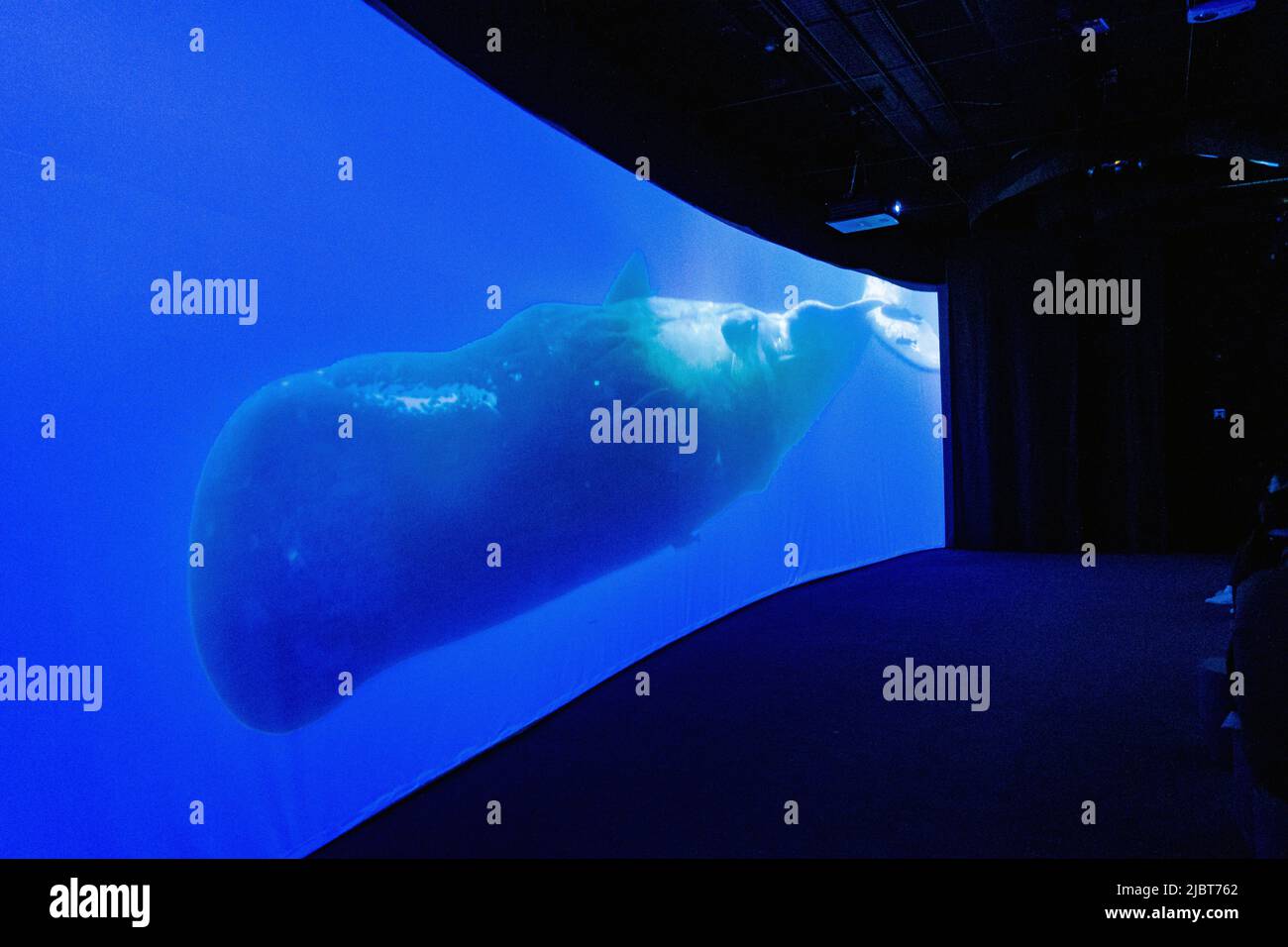 Frankreich, Paris, Naturhistorisches Museum, Sensory Odyssey Ausstellung Stockfoto