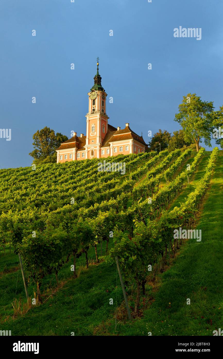 Deutschland, Baden Württemberg, Bodensee, Uhldingen-Mühlhofen, Birnau Wallfahrtskirche mit Weinberg Stockfoto