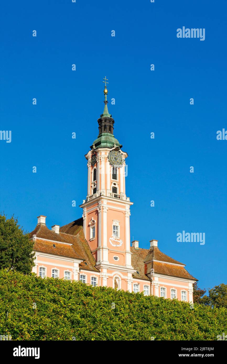 Deutschland, Baden Württemberg, Bodensee, Uhldingen-Mühlhofen, Birnau Wallfahrtskirche mit Weinberg Stockfoto