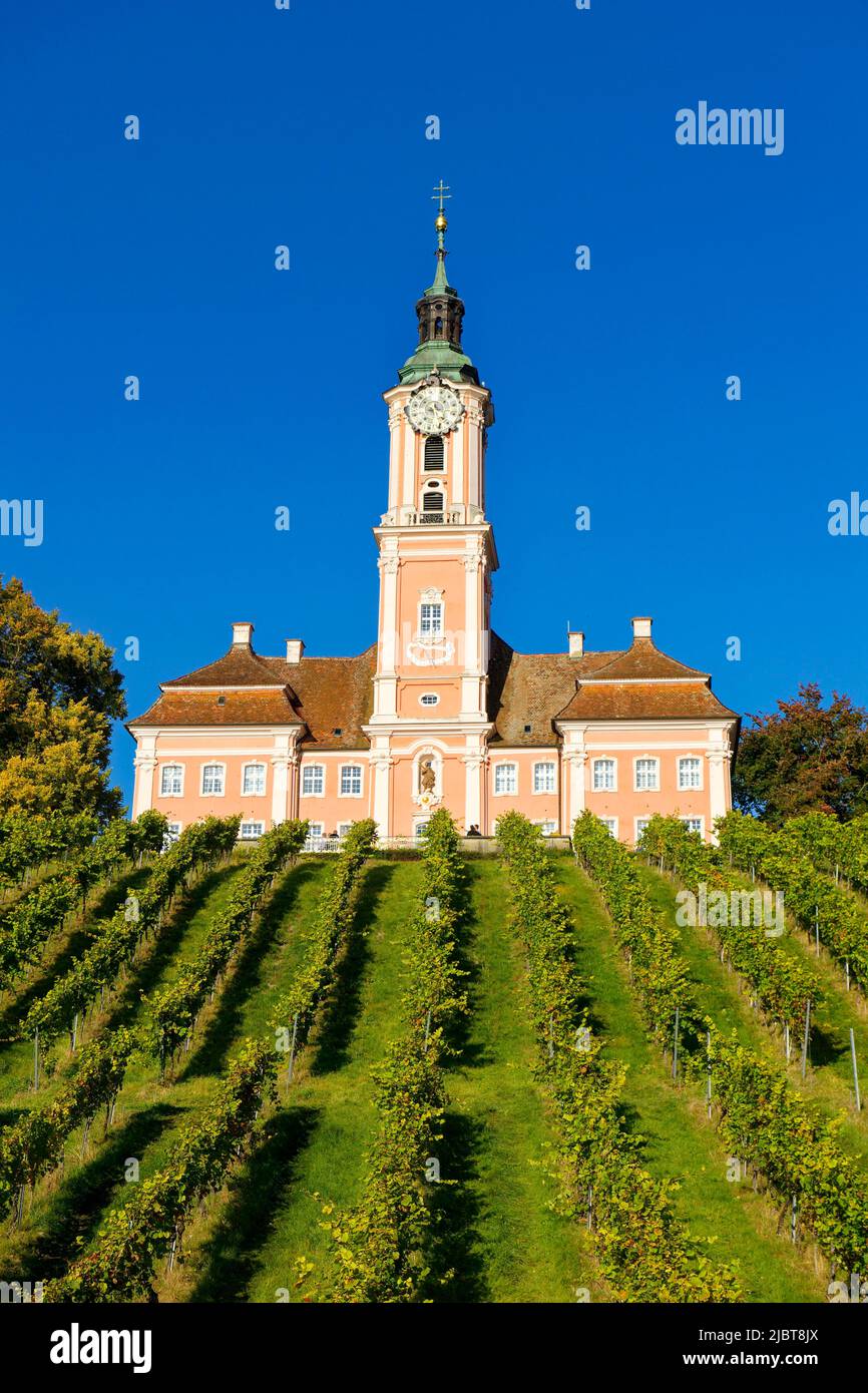 Deutschland, Baden Württemberg, Bodensee, Uhldingen-Mühlhofen, Birnau Wallfahrtskirche mit Weinberg Stockfoto