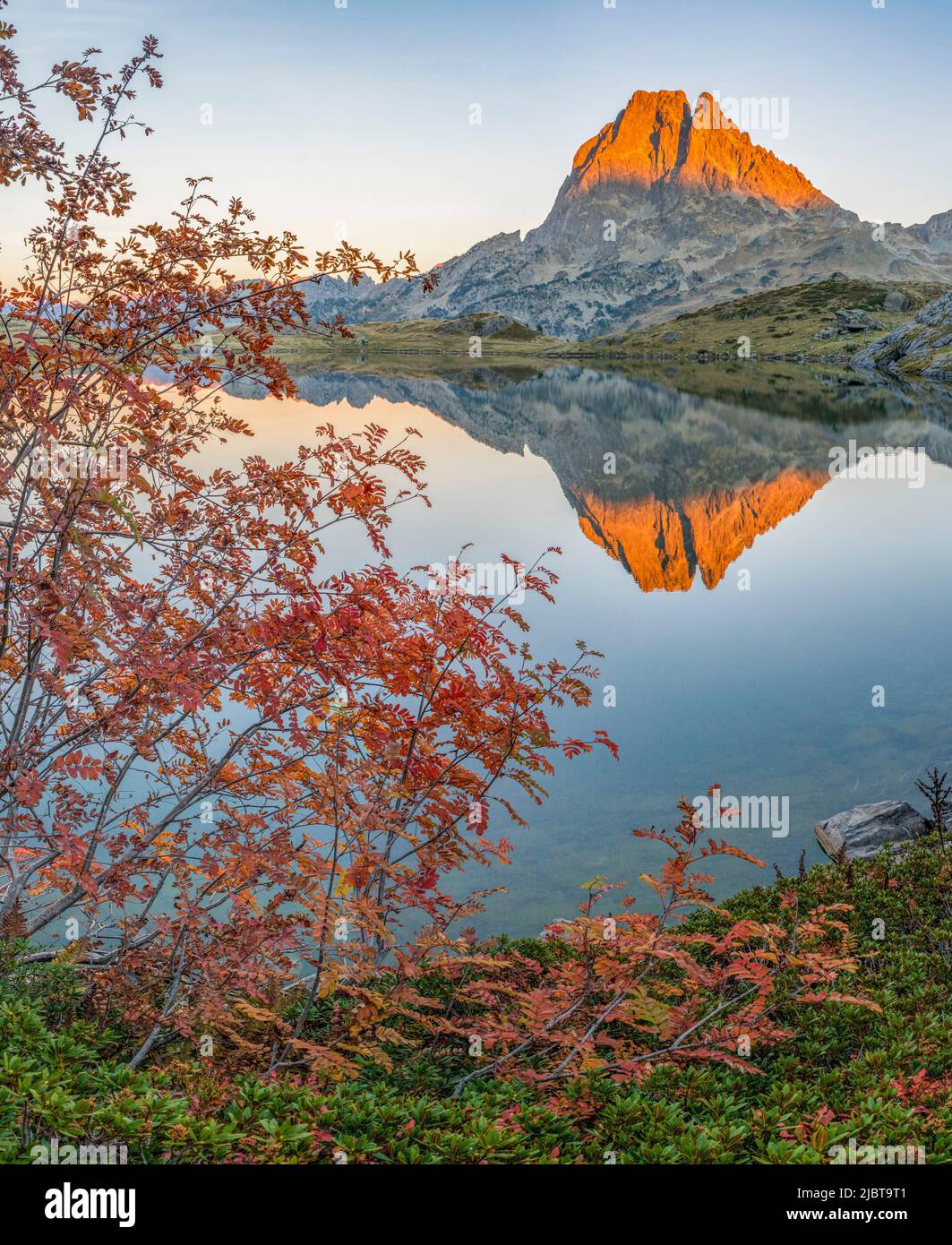 Frankreich, Pyrenäen Atlantiques, Bearn, Ossau-Tal, Spiegelung des Pic du Midi d'Ossau in einem See und Baum mit Herbstfarben Stockfoto