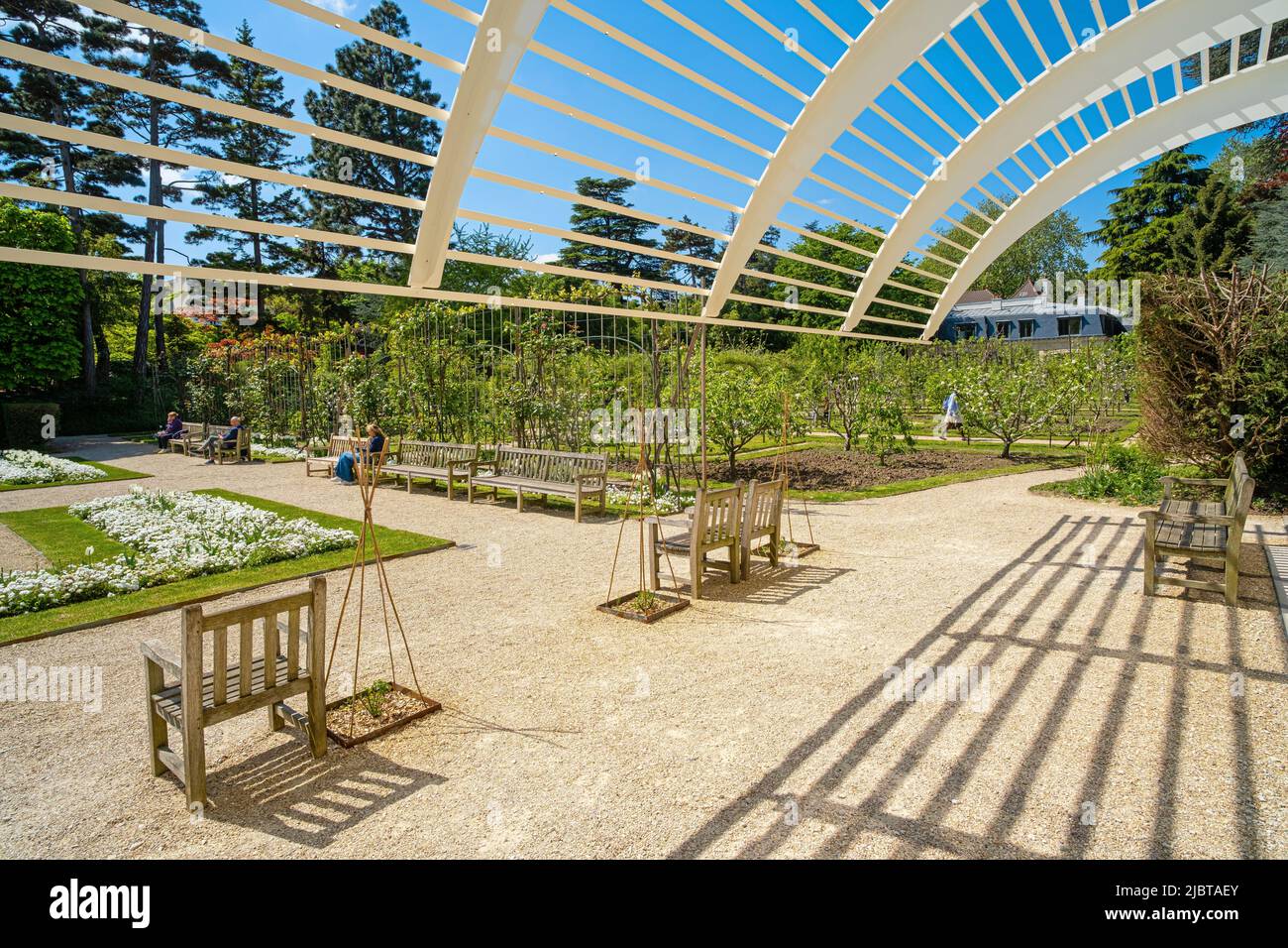 Frankreich, Hauts de seine, Boulogne Billancourt, Albert Kahn Abteilungsgarten und Museum, der französische Garten, das tropische Gewächshaus Stockfoto