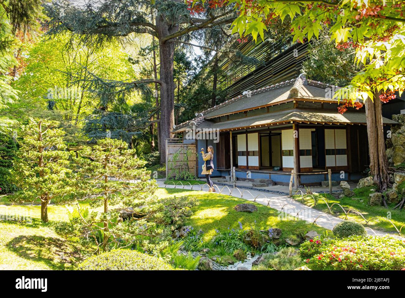 Frankreich, Hauts de seine, Boulogne Billancourt, Albert Kahn Abteilungsgarten und Museum, der zeitgenössische japanische Garten Stockfoto