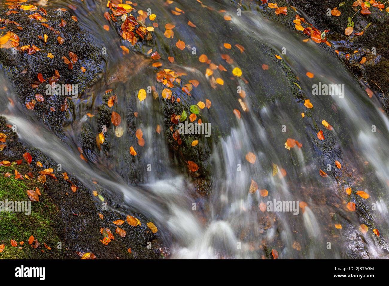 Frankreich, Correze, Vezere im Herbst, Parc Naturel Regional de Millevaches (regionaler Naturpark Millevaches) Stockfoto