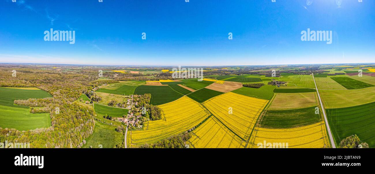 Frankreich, seine et Marne, Nanteau sur Lunain, Beauce, Rapsfelder (Luftaufnahme) Stockfoto