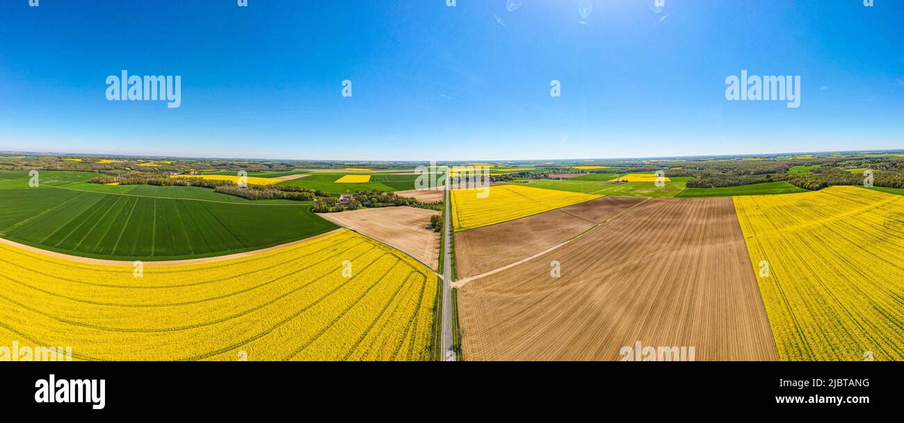 Frankreich, seine et Marne, Nanteau sur Lunain, Beauce, Rapsfelder (Luftaufnahme) Stockfoto