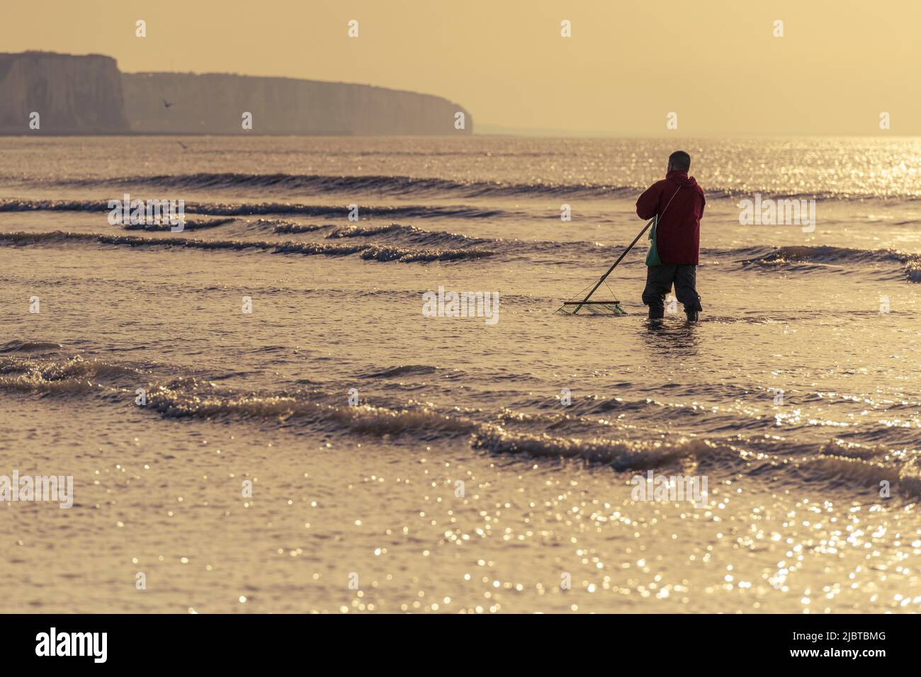 Frankreich, Somme, Ault, Garnelenfischer mit seinem Netz vor den Klippen in Ault Stockfoto