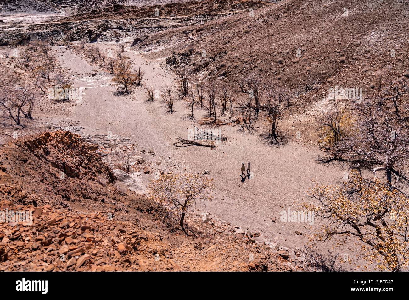 Namibia, Kunene Region, Damaraland, Khorixas, Orgelpfeifen, Basaltorgeln die von der UNESCO zum Weltkulturerbe erklärten Orgeln entstanden vor rund 150 Millionen Jahren nach dem Eindringen von Lavaflüssigkeit in eine Schiefergesteinsformation, die im Laufe der Zeit durch Erosion freigelegt wurde Stockfoto