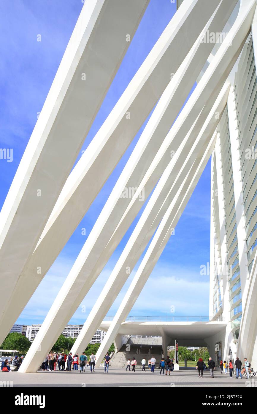 Spanien, Valencia, Stadt der Künste und Wissenschaften (Ciudad de las Artes y las Ciencias), Kulturkomplex nach dem Entwurf des Architekten Santiago Calatrava, Blick auf das Príncipe-Museum (Naturwissenschaftliches Museum), Seitenansicht Stockfoto