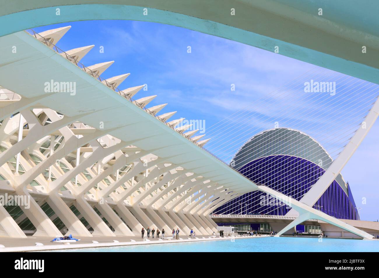 Spanien, Valencia, Stadt der Künste und Wissenschaften (Ciudad de las Artes y las Ciencias), Kulturkomplex, entworfen vom Architekten Santiago Calatrava, Blick auf das Príncipe-Museum (Naturwissenschaftliches Museum) und das Ágora im Hintergrund Stockfoto