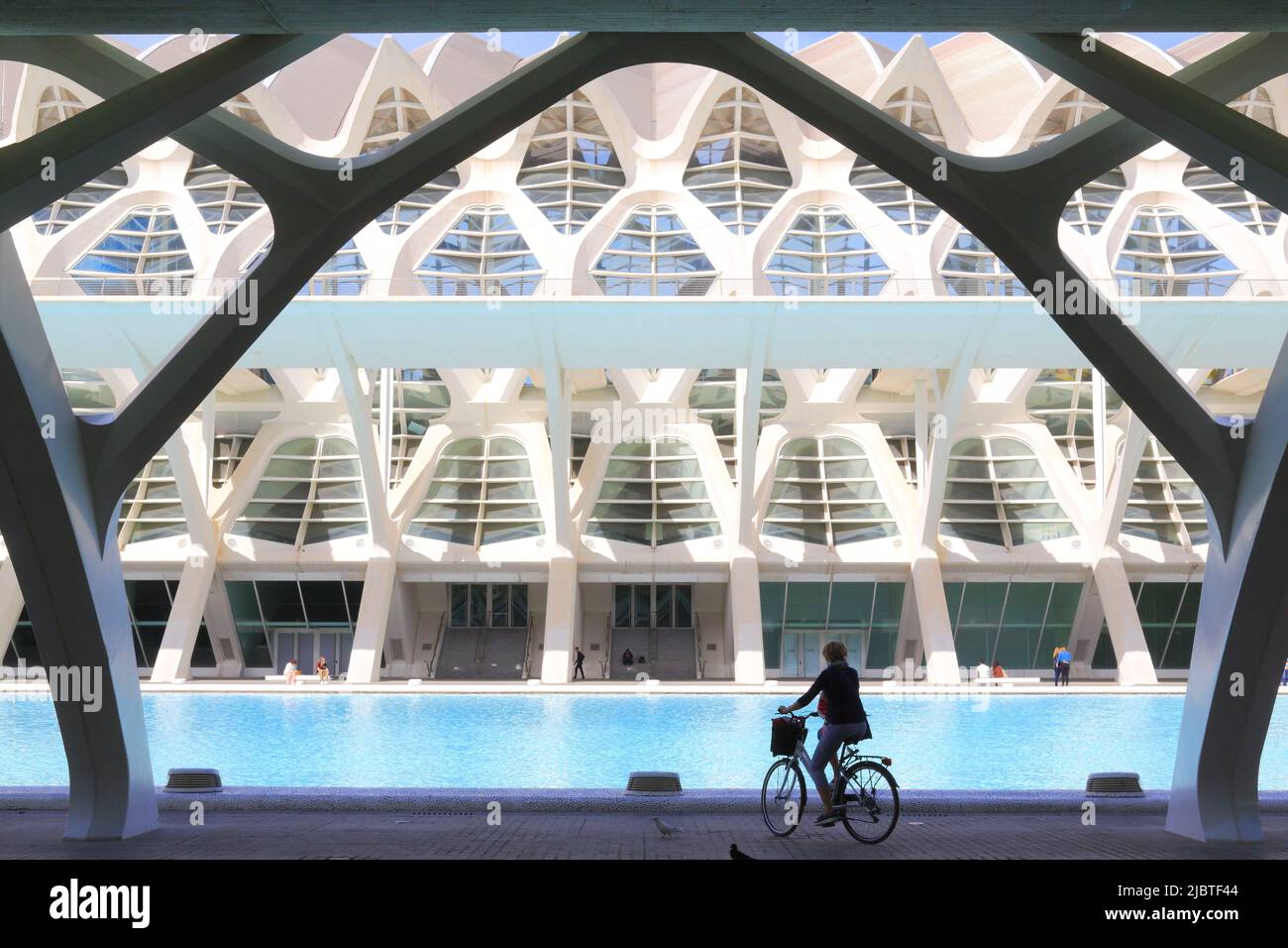 Spanien, Valencia, Stadt der Künste und Wissenschaften (Ciudad de las Artes y las Ciencias), Kulturkomplex nach Plänen des Architekten Santiago Calatrava, Blick auf das Príncipe-Museum (Naturwissenschaftliches Museum) Stockfoto