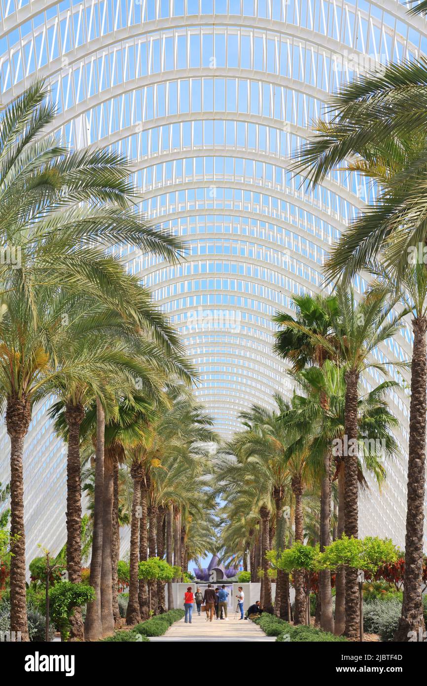 Spanien, Valencia, Stadt der Künste und Wissenschaften (Ciudad de las Artes y las Ciencias), Kulturkomplex, entworfen vom Architekten Santiago Calatrava, Umbracle (öffentlicher Garten) Stockfoto