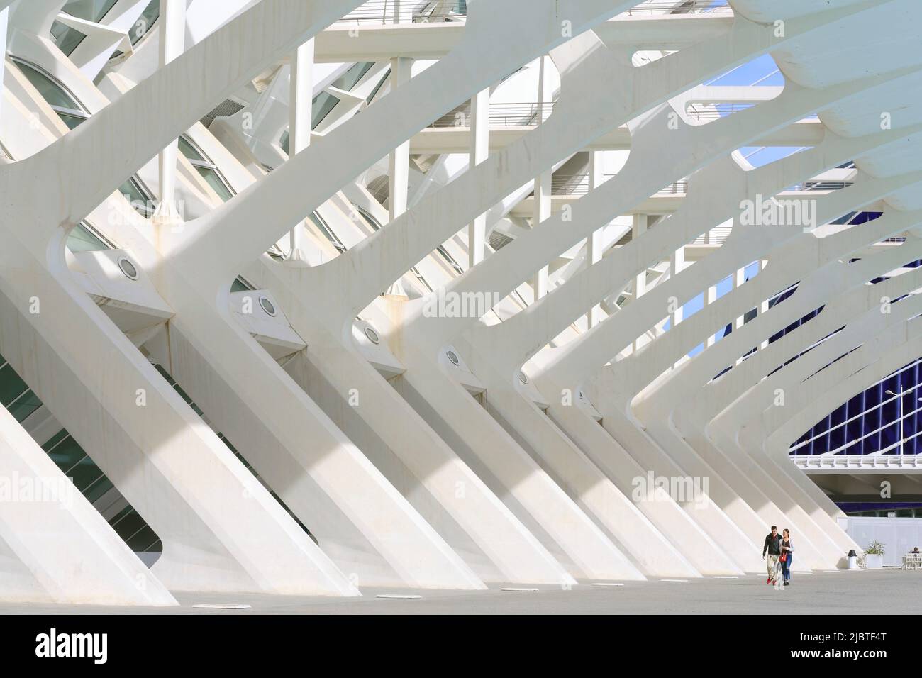 Spanien, Valencia, Stadt der Künste und Wissenschaften (Ciudad de las Artes y las Ciencias), Kulturkomplex nach Plänen des Architekten Santiago Calatrava, Blick auf das Príncipe-Museum (Naturwissenschaftliches Museum) Stockfoto