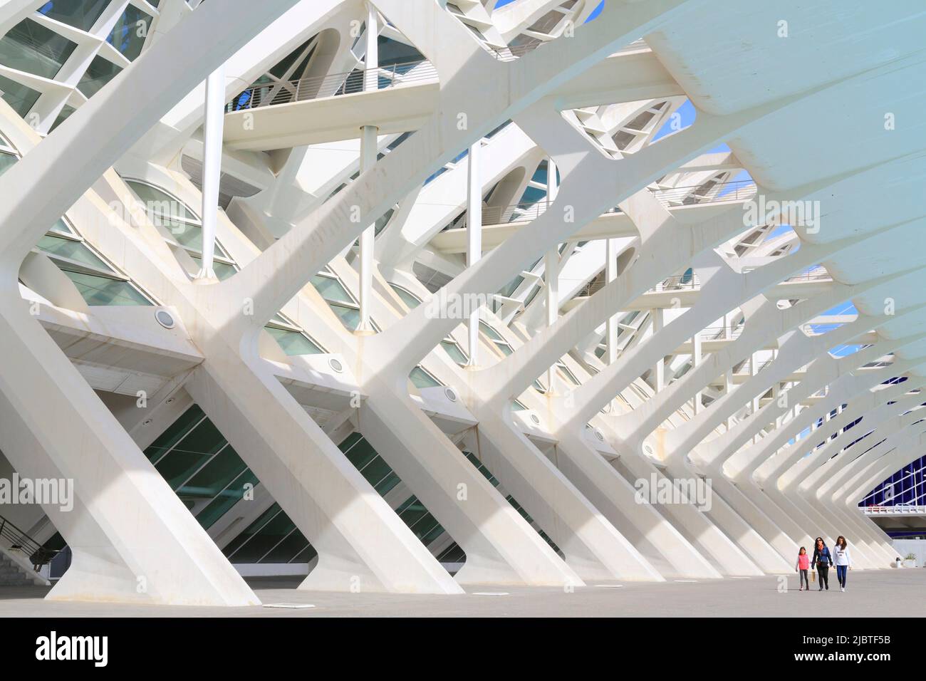 Spanien, Valencia, Stadt der Künste und Wissenschaften (Ciudad de las Artes y las Ciencias), Kulturkomplex nach Plänen des Architekten Santiago Calatrava, Blick auf das Príncipe-Museum (Naturwissenschaftliches Museum) Stockfoto