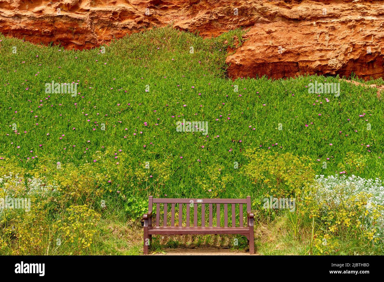 Bank an der Küste von Budleigh Salterton mit den roten Klippen dahinter, Devon, England Stockfoto