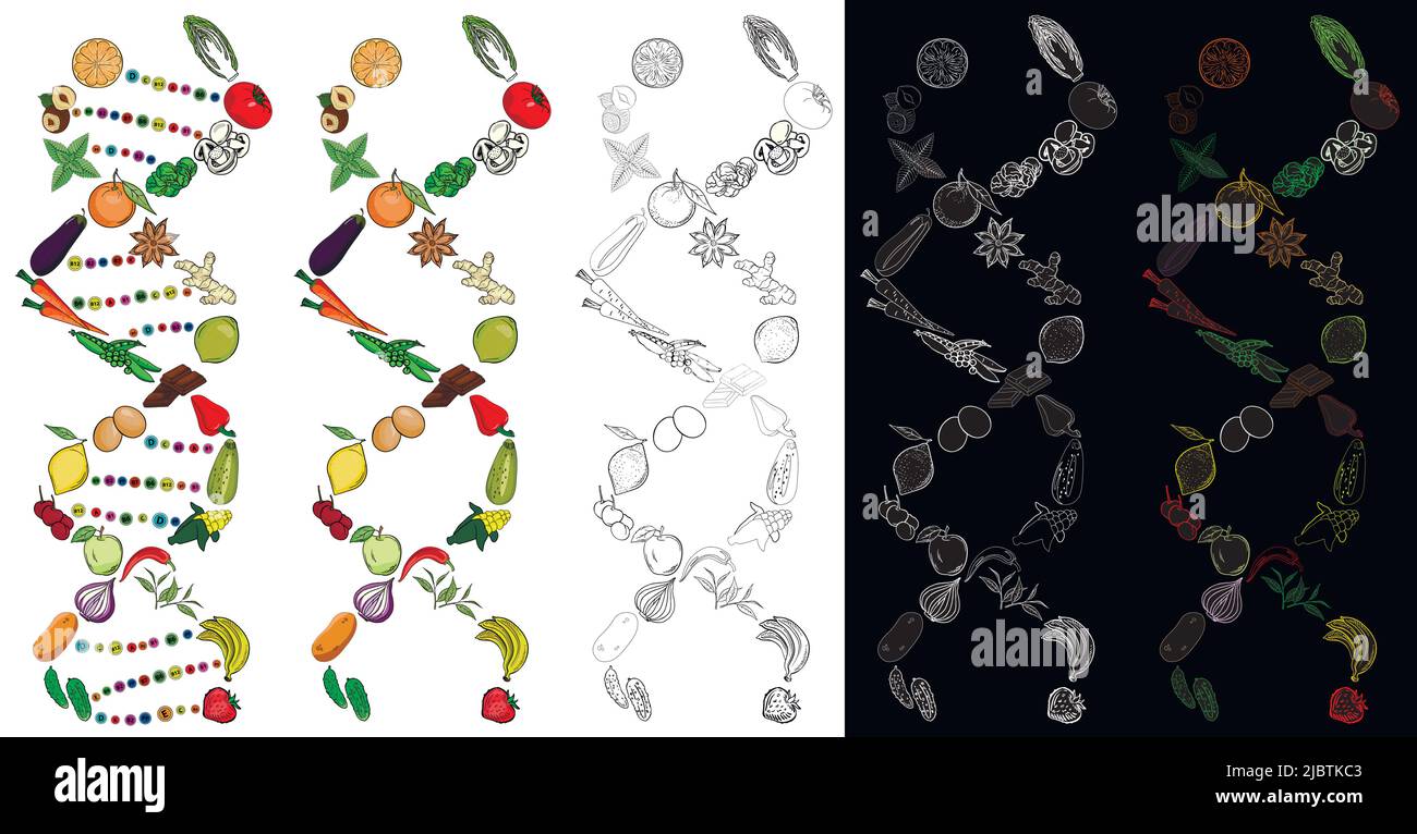 Gesunde Ernährung DNA aus Obst und Gemüse. Abstrakte Darstellung eines gesunden Lebensstils und einer gesunden Ernährung. Vektorgrafik für Cafés. Stock Vektor