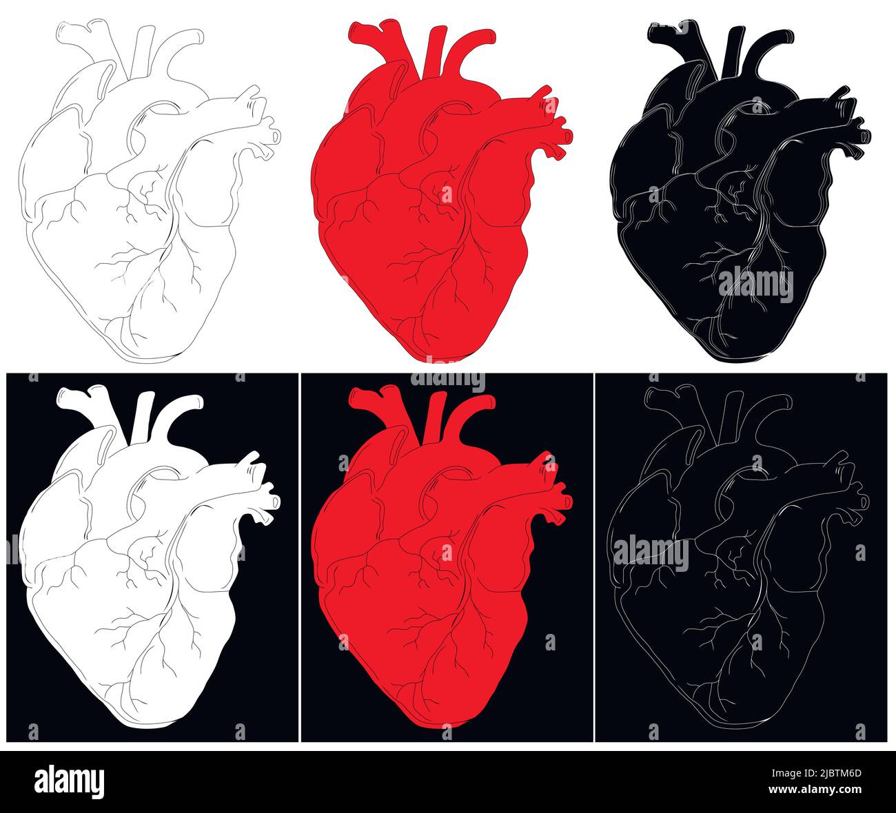 Anatomische Zeichnung des Herzens. Hintergrund für Broschüren, Broschüren, Flyer, Tattoo-Stuben. Set aus roten, weißen und schwarzen handgezeichneten Herzen. Stock Vektor