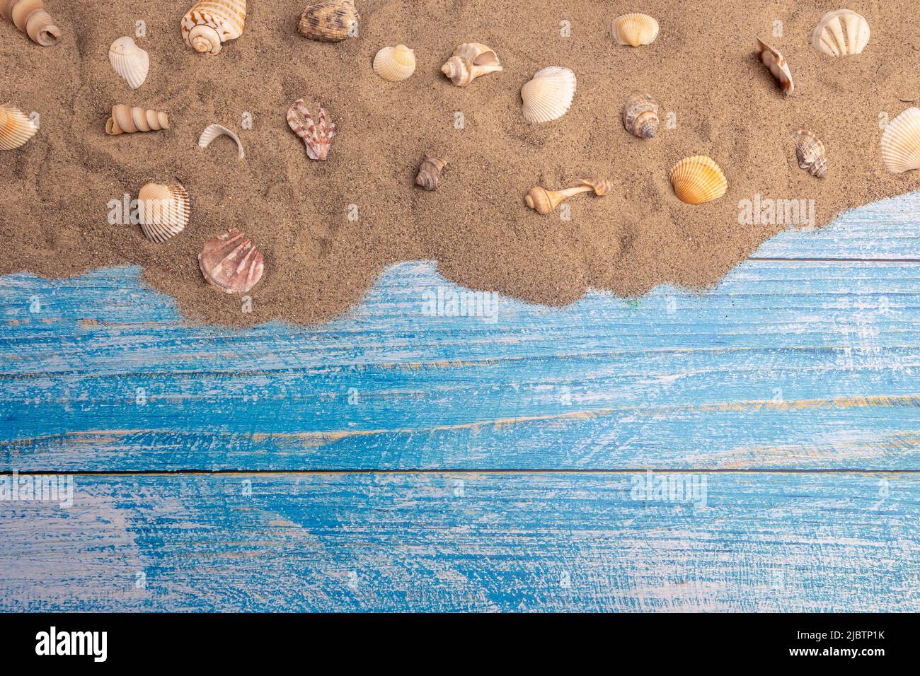 Muscheln auf dem Sand auf blauem Hintergrund. Sommerurlaub, Strand, Entspannung, Meer, Meer, Reisekonzept. Stockfoto