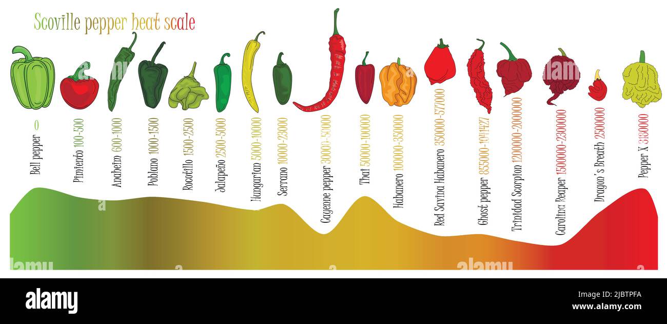 Scoville Pfeffer-Wärmewaage. Pepper Illustration von süßesten bis sehr scharf auf farbigem Hintergrund. Stock Vektor