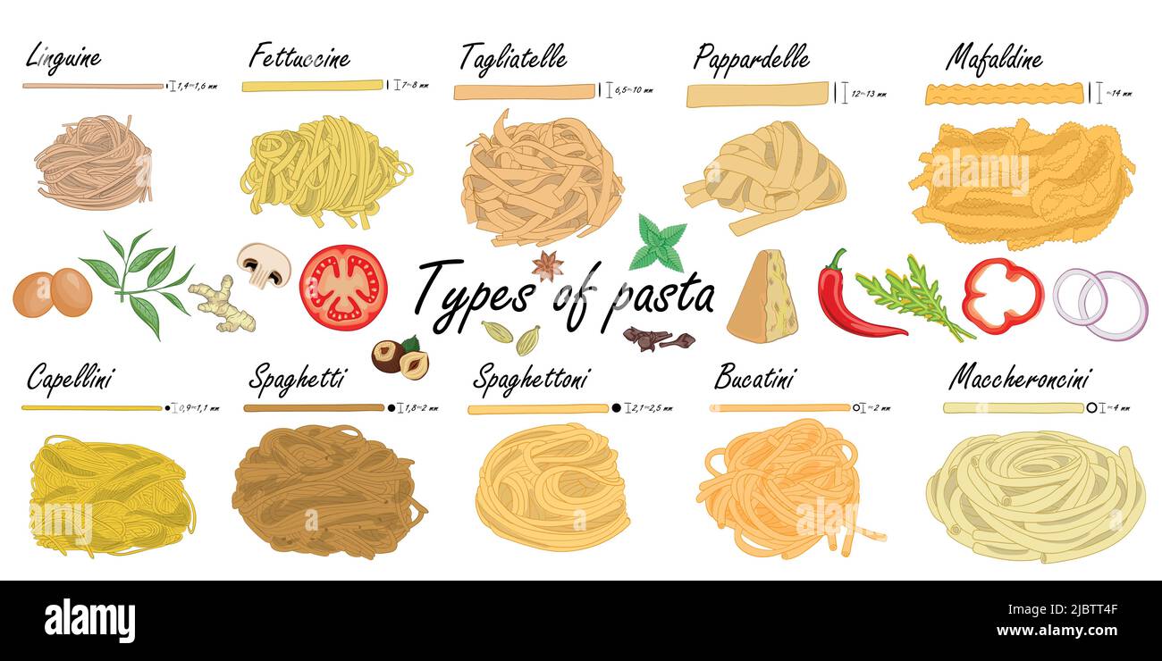 Arten von Pasta. Lange Nudeldifferenz, Beispiel für Illustration. Stock Vektor